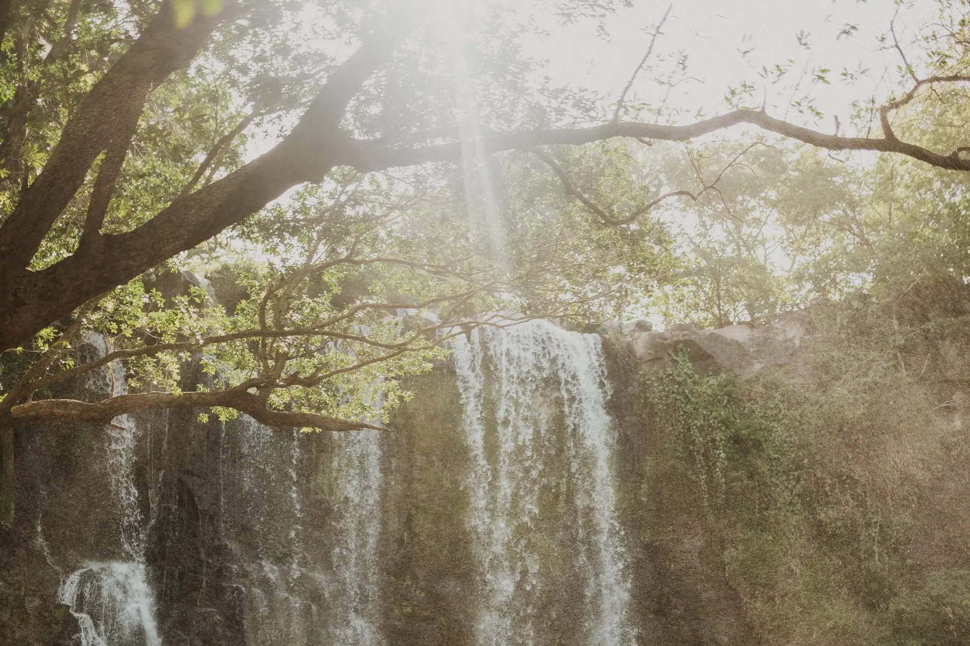 Adri Mendez - Image 4