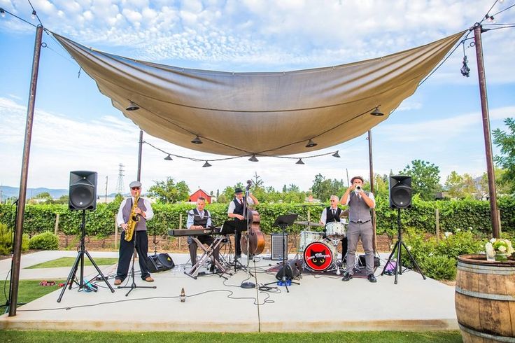 Cosmo Alleycats Band - Image 2