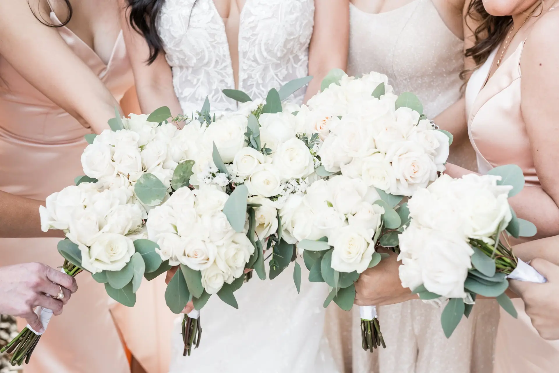 Sarah Fischback Photography - Image 3